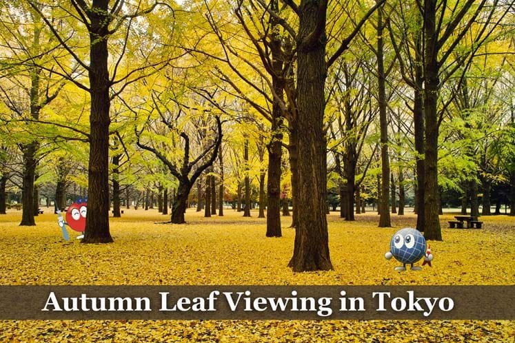 🏞️ 코료 공원 이미지 1